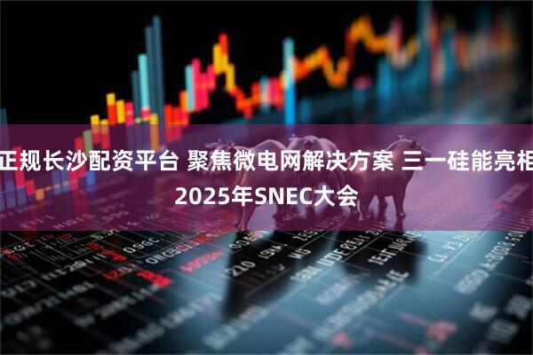 正规长沙配资平台 聚焦微电网解决方案 三一硅能亮相2025年SNEC大会